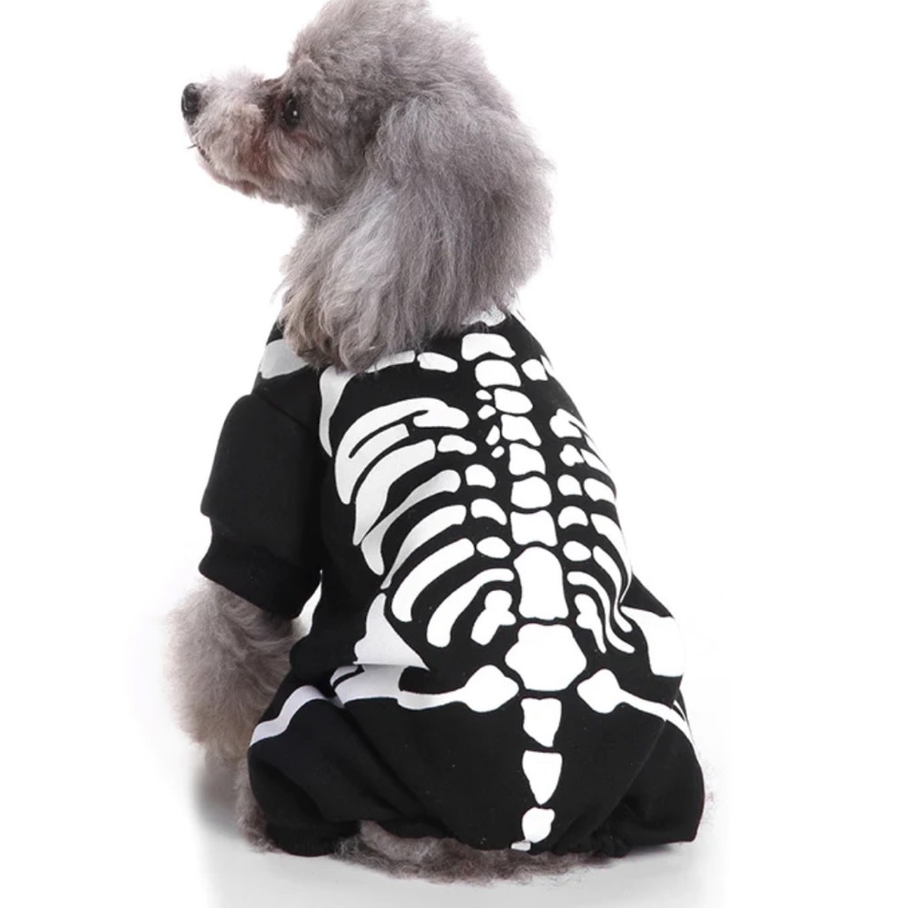 ⭐️HP⭐️Skull Skeleton costume for dogs glow in the dark bones